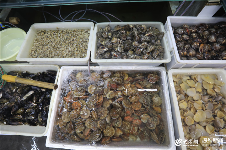 青島 休漁期水產(chǎn)品批發(fā)市場(chǎng)貨源充足，品類豐富價(jià)格穩(wěn)